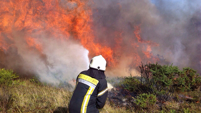 Balance de Onemi: 73 incendios forestales activos en la zona centro sur