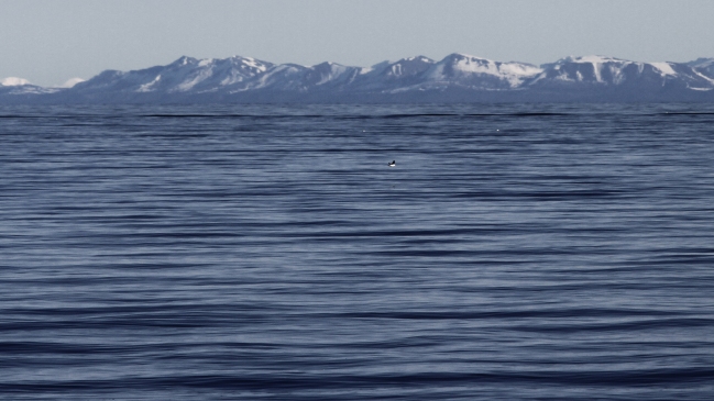 Argentina y Chile declararon Tierra del Fuego libre de minas antipersonales