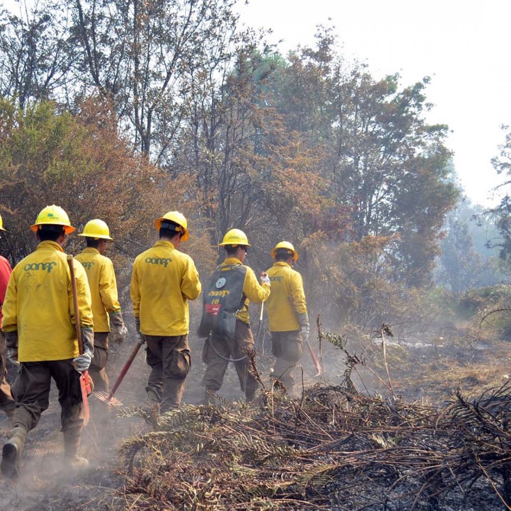 Autoridades Levantaron Alerta Roja Por Incendios Forestales En La