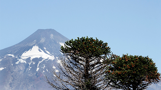 Autoridades acotaron alerta roja a cinco kilómetros en torno al volcán Villarrica