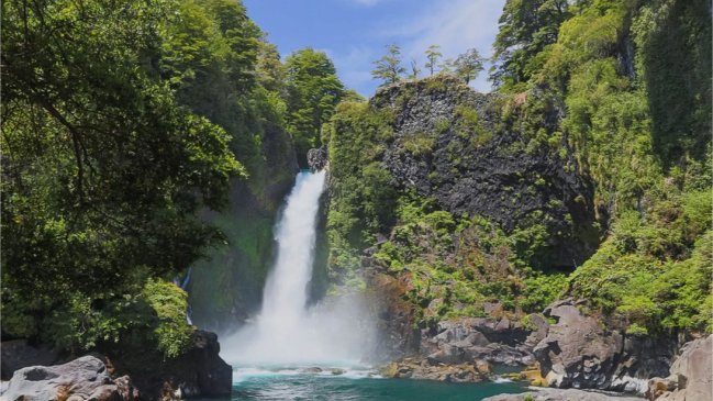 Reserva Biológica Huilo Huilo ganó premio de National Geographic