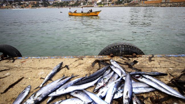 Pescadores de Quintero denunciaron a Esval por contaminación