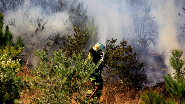 Intendencia de La Araucanía decretó Alerta Roja por incendio forestal en Melipeuco
