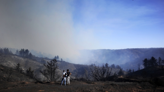 Gobierno: Incendios forestales no van a afectar a nuestra capacidad productiva