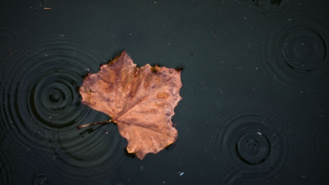 Conoce el momento exacto en que termina el verano