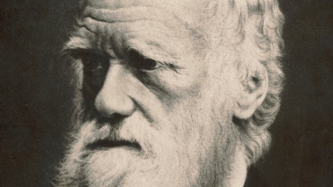 Científicos resuelven el misterio de los 