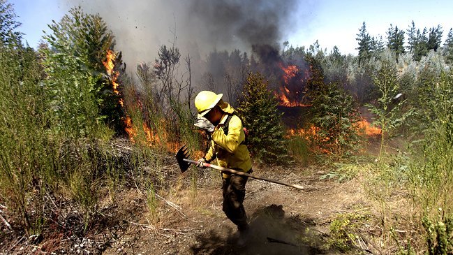 Brigadistas de Conaf paralizan y denuncian 
