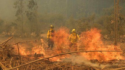   Las denuncias de los brigadistas temporales de Conaf paralizados 
