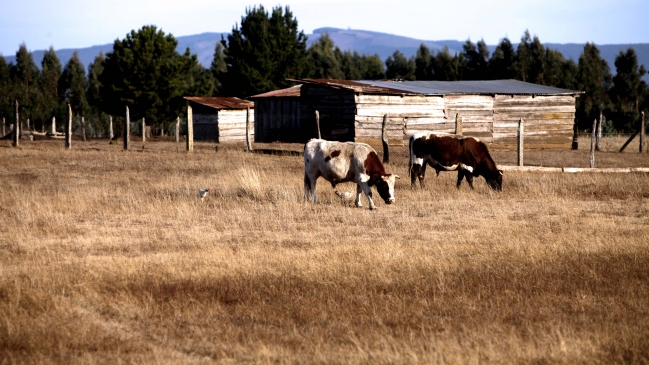 Ministro por sequía: Estamos pagando el precio de la inacción del Gobierno anterior