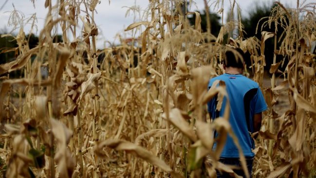 Gobierno estudia crear una subsecretaría para solucionar problemas hídricos