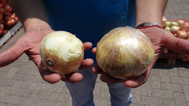Arica: Decomisaron 33 kilos de cocaína 