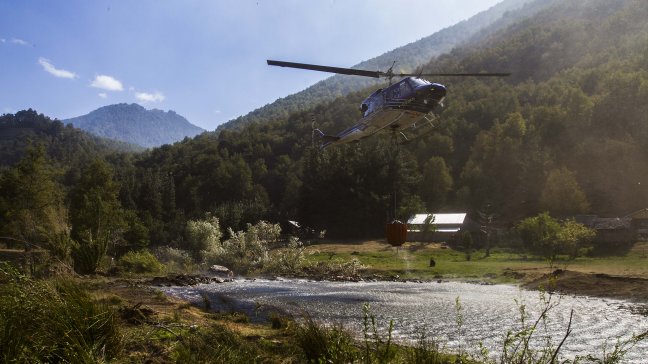 Conaf: Incendio de Reserva Ñuble fue controlado
