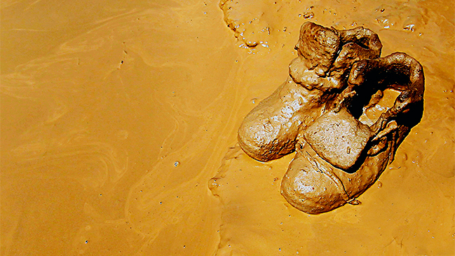 Concejal de Diego de Almagro: 