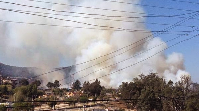 Incendio forestal afecta a Jardín Botánico de Viña del Mar