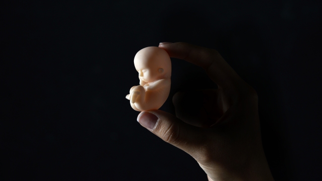 ONG presentó denuncia contra Facultad de Medicina de la U. de Chile por 