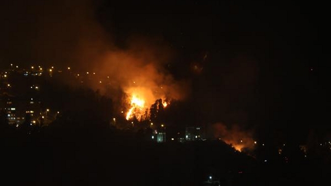 Incendio forestal se registra en sector Rodelillo de Valparaíso