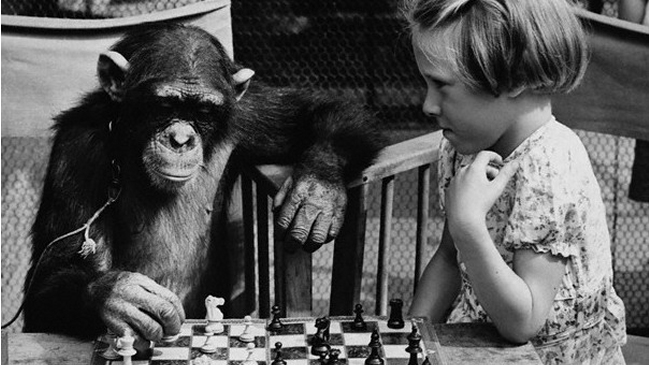 Las insospechadas desventajas de ser muy inteligente