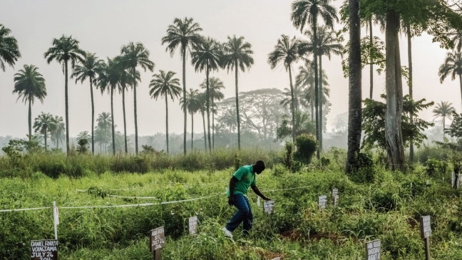 El diario The New York Times ganó tres premios Pulitzer