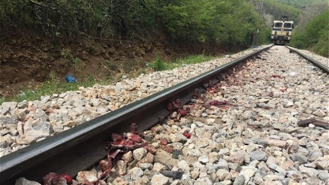 Al menos 14 inmigrantes murieron arrollados por un tren en Macedonia