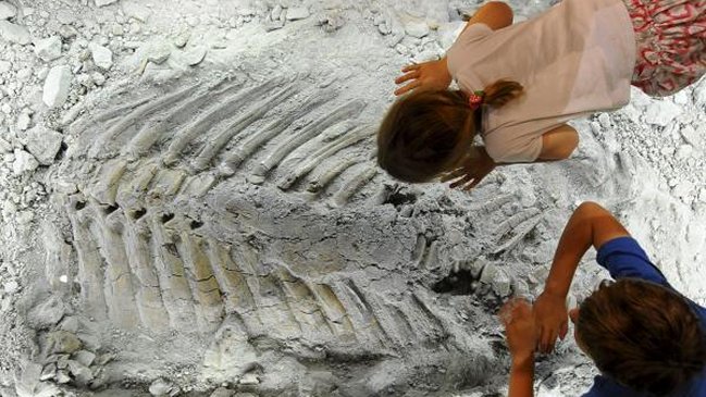 Bolivia posee el mayor yacimiento de huellas de dinosaurio tras descubrimiento