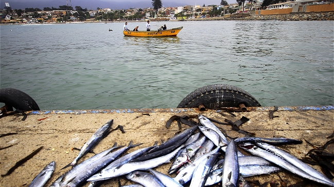 Gobierno encargó a la FAO evaluación de la ley de Pesca