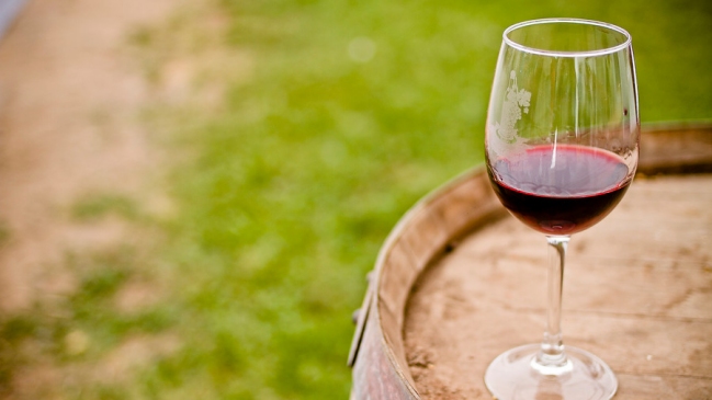 Este sábado se realiza octava versión de la Fiesta del Vino en Lo Abarca