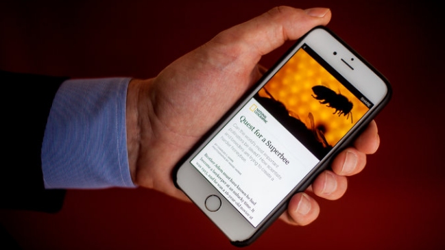 Algunos medios empezarán a publicar artículos directamente en Facebook