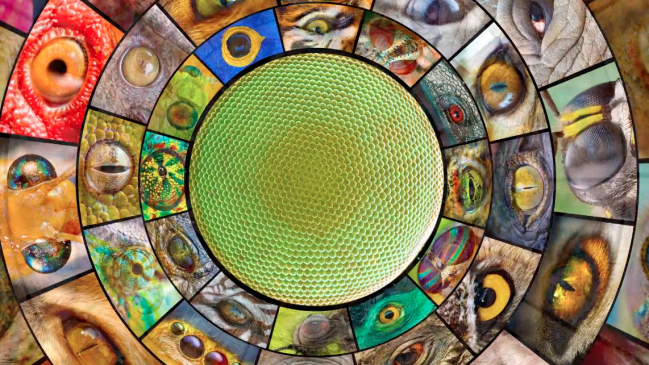 Planetario presenta nueva producción digital para una pantalla en 360º envolvente