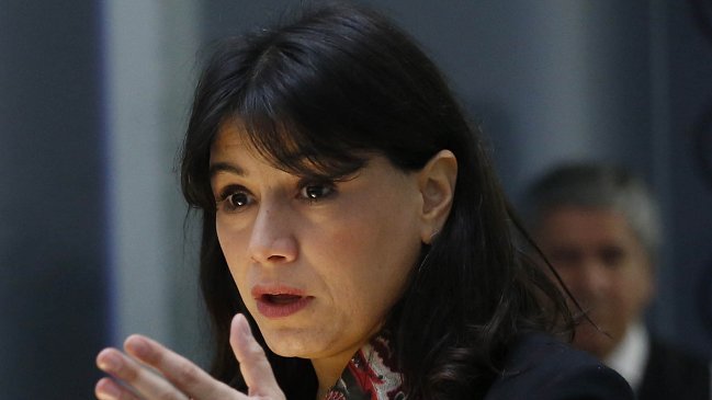 Gobierno rechazó idea UDI de crear una 