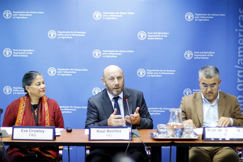 FAO: América Latina es la región que más avanza contra el hambre