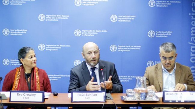 FAO: América Latina es la región que más avanza contra el hambre