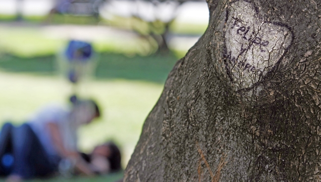 Imagen foto_00000015