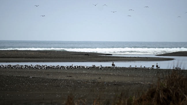Continúa búsqueda de joven que se habría lanzado al mar en Concón
