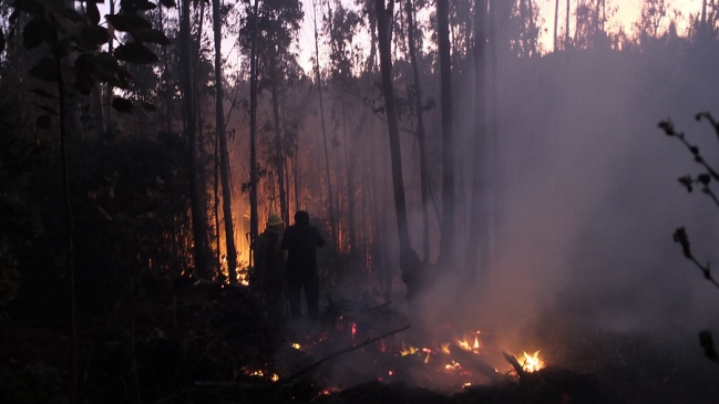 Incendio forestal de Valparaíso mantiene tres focos activos