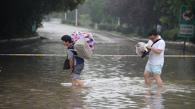 Más de 16.000 cerdos mueren por inundaciones en China