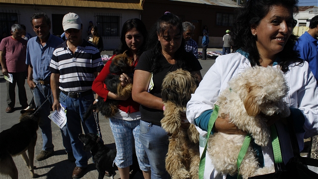 Colegio de Veterinarios expresó reparos a Plan de Tenencia de Mascotas