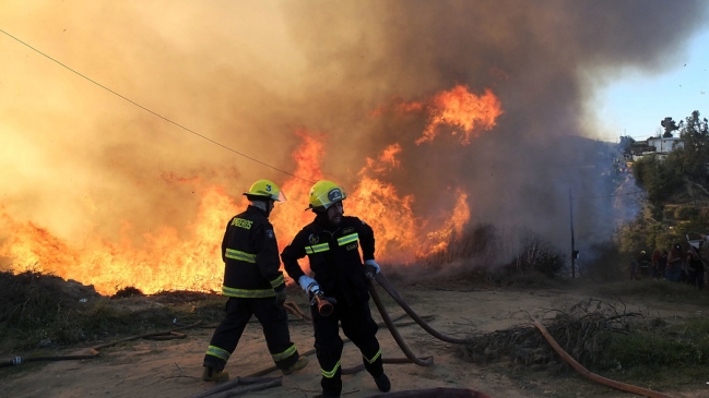 Valparaíso: Cuatro incendios consumen más de 22 hectáreas