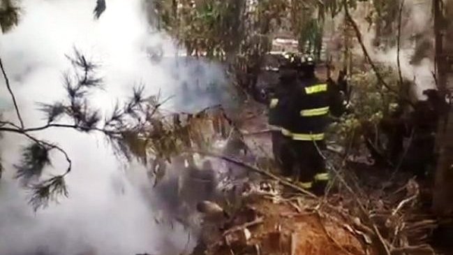 Onemi entregó balance por incendios forestales en la Región de Valparaíso