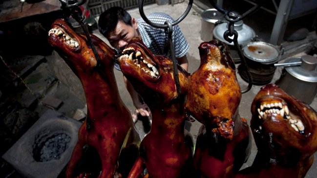 Mataron diez mil perros en China para festival gastronómico