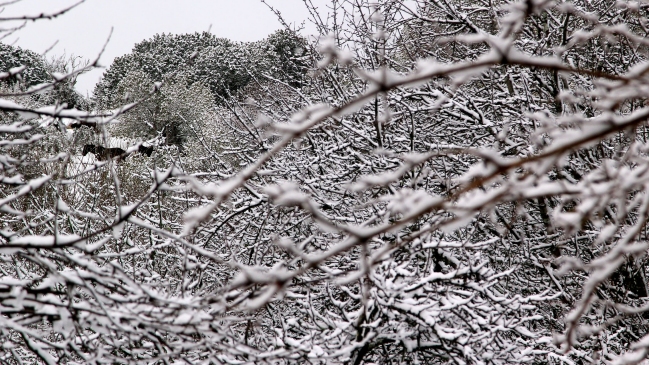 Dos personas murieron por ola de frío en La Araucanía