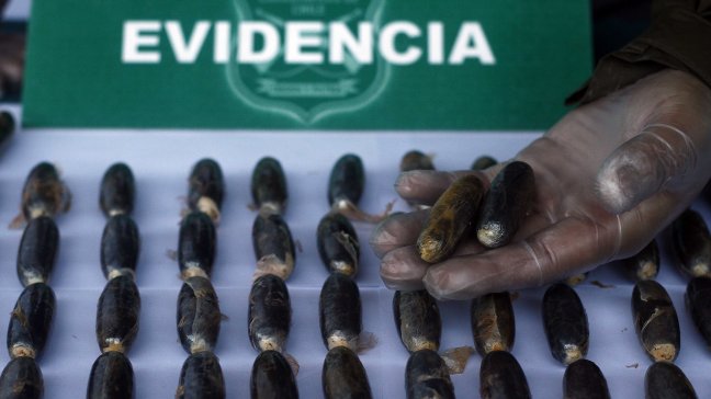 Carabineros desarticuló laboratorio de drogas en O'Higgins