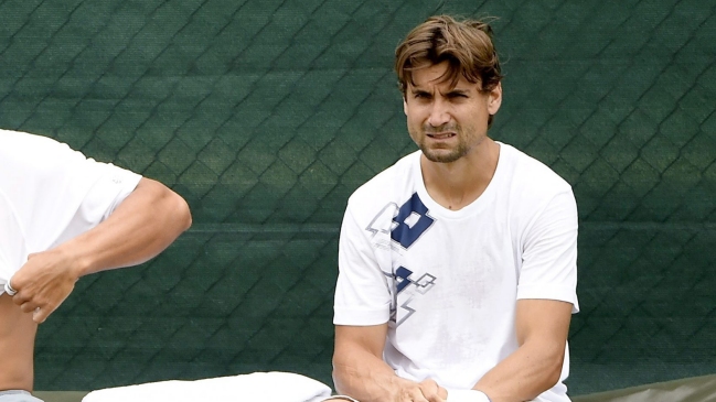 David Ferrer se perderá Wimbledon por una lesión en el codo