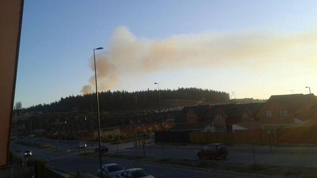 Dos incendios forestales obligaron a decretar alerta roja en Valparaíso