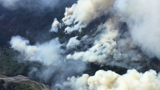 EEUU: Incendios forestales destruyen una veintena de casas en Seattle