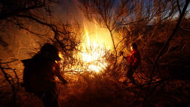 Onemi mantuvo alerta roja por incendios forestales en Valparaíso y Melipilla