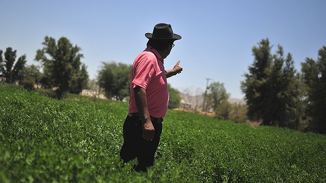 Gobierno y aumento del desempleo: 