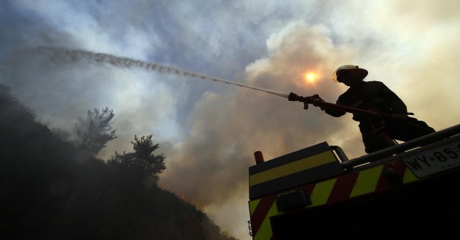 Incendio forestal se registró en la comuna de La Ligua