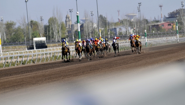 Imagen foto_00000015