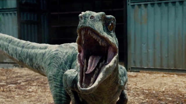 Imagen foto_00000018