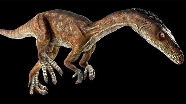 Imagen foto_00000010